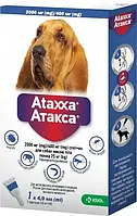 Ataxxa (Атакса) краплі на холку від бліх та кліщів для собак вагою 25-40 кг, 1 піпетка