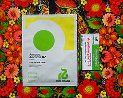 Насіння капусти Анкома F1 (Rijk Zwaan), 1 000 насінин (калібровані) — пізня (120-135 днів), для зберігання