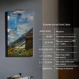 Колонка газова димохідна Thermo Alliance JSD20-10GC 10 л панель скляна з малюнком гори, фото 3