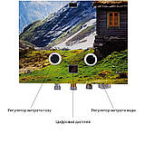 Колонка газова димохідна Thermo Alliance JSD20-10GC 10 л панель скляна з малюнком гори, фото 6