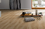 Ламінат Дуб Горизонт натур 1-х, фото 2