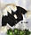 Дитячі утеплені модні куртки для дівчаток оптом, фото 2