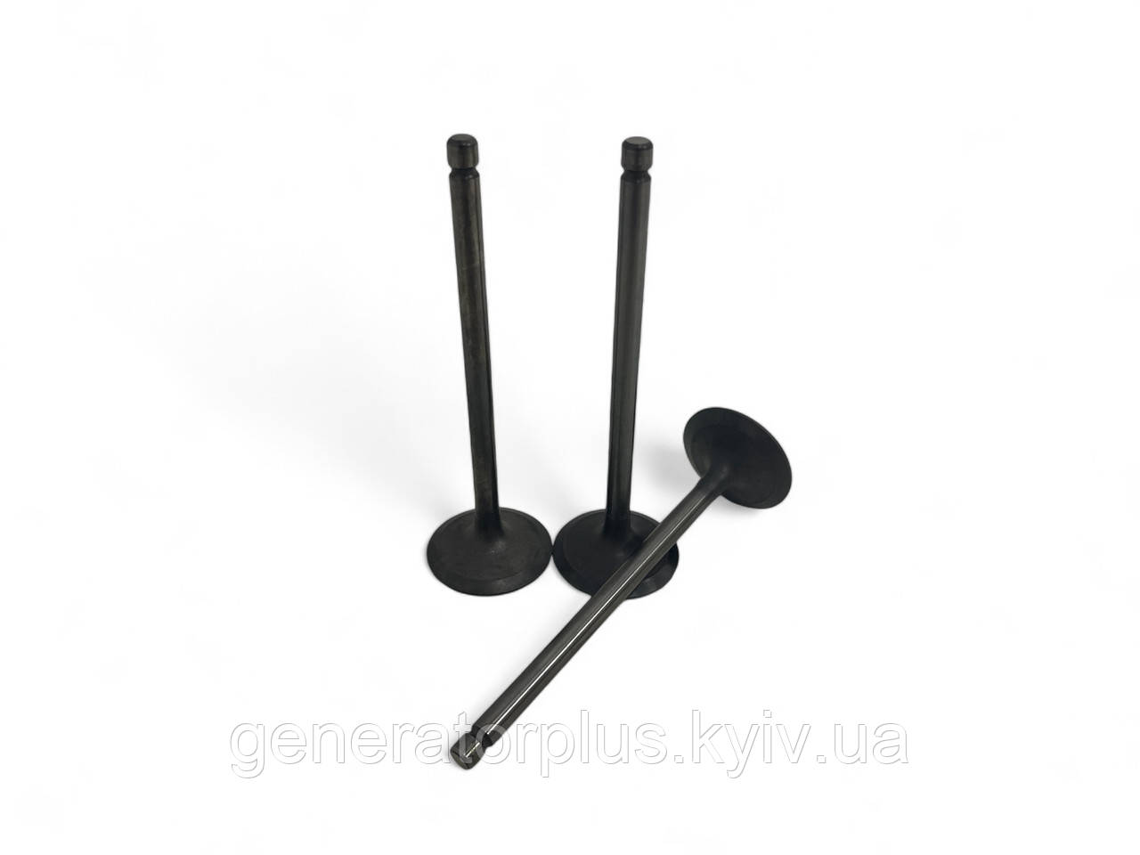 Клапана випускні Cummins ISF 3.8 1003014FE010, фото 1