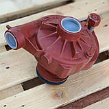 Насос водяний Alpha Pompe C1″1/2 R, фото 4