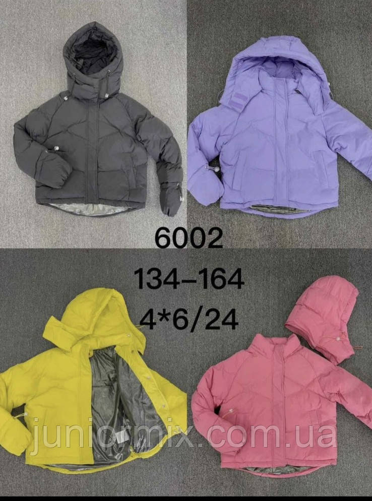 Дитяча зимова модна стильна куртка для дівчаток оптом FD