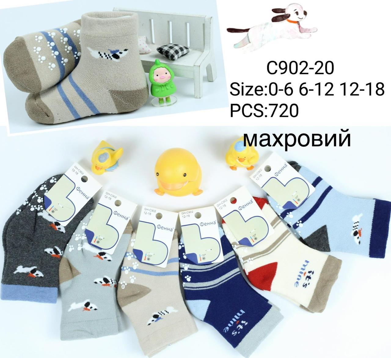 Шкарпетки дитячі теплі зимові махрові Фена розмір 0-6, 6-12, 12-18 місяців (від 12 пар)