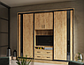 Шафа-купе під телевізор Універсал 2400х450х2200 Гарант купити в Україні, фото 2