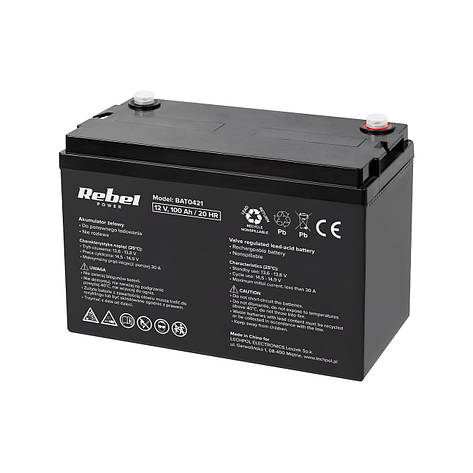 Акумулятор гелевий Rebel 12V 100Ah (BAT0421), фото 1