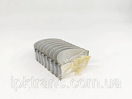 Вкладиші шатунні двигуна XINCHAI 490BPG STD № 490B-04007, 490B04007, фото 1