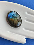Лабрадор овал камінь без оправи. Кабошон натуральний лабрадор  24,5*18,5*6,5  мм. Індія., фото 5