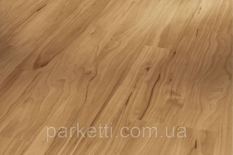 Ламінат Parador 1426505 Basic 400 Яблуня Бернштейн, фото 1