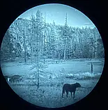 Пристрій нічного бачення PVS14 3 Gen NNVT-5 / Сarson White Phosopor, фото 11
