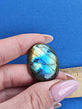 Лабрадор овал камінь без оправи. Кабошон натуральний лабрадор 29*23*8 мм. Індія., фото 3
