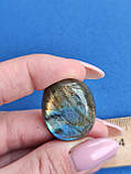 Лабрадор овал камінь без оправи. Кабошон натуральний лабрадор 29*23*8 мм. Індія., фото 4