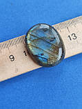 Лабрадор овал камінь без оправи. Кабошон натуральний лабрадор 29*23*8 мм. Індія., фото 6