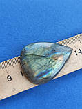 Лабрадор крапля камінь без оправи. Кабошон натуральний лабрадор 37,5*29*7 мм. Індія., фото 5