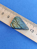 Лабрадор "Голова риби" камінь без оправи. Кабошон натуральний лабрадор 27*19*7 мм. Індія., фото 5