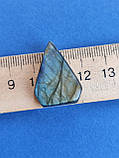 Лабрадор "Голова риби" камінь без оправи. Кабошон натуральний лабрадор 27*19*7 мм. Індія., фото 6