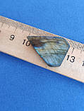 Лабрадор "Голова риби" камінь без оправи. Кабошон натуральний лабрадор 27*19*7 мм. Індія., фото 7