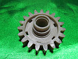 Шестірня Мара D = 62/20 мм., фото 2