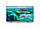 Телевізор 55 дюймів Philips 55PUS7657/12 (4K Smart TV Wi-Fi Bluetooth), фото 3