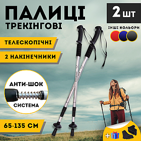 Скандинавські палиці для дорослих початківців, фінські палиці для нордичної ходьби Hechpro 3924 сірі
