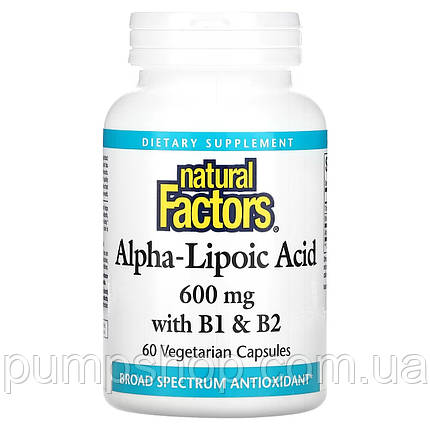 Альфа-ліпоєва кислота з вітамінами Natural Factors Alpha Lipoic Acid 600 мг with B1 & B2 60 капс., фото 1