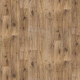 Побутовий лінолеум Lentex Maxima Eko Ohrid Oak 43 - ширина 3 метри, фото 5