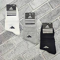 Шкарпетки жіночі середні весна/осінь р.36-40 Ad асорті з білим ТУРЕЧЧИНА 30039076