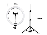 Набір блогера 3в1 Power bank - Штатив 190 см - Кільцева лампа 26 см, фото 2