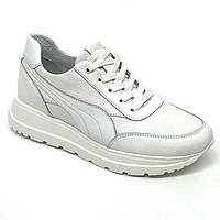 Жіночі шкіряні кросівки білого кольору зі шнурівкою Sergio Billini 4012 білий розмір 36