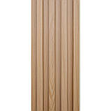 Декоративна стінова рейка 3000*160*23мм (D) SW-00001857, фото 5