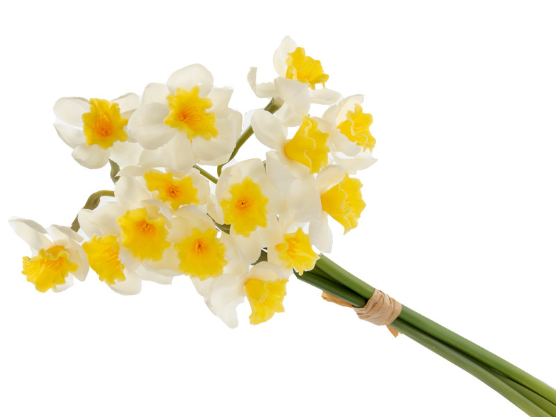 Букет нарцисів із 3 штук білий 50 см (силікон), фото 1