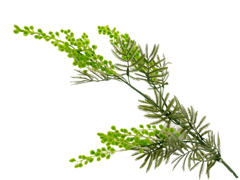 Гілка мімози зелена 80 см (платсик з напиленням), фото 1