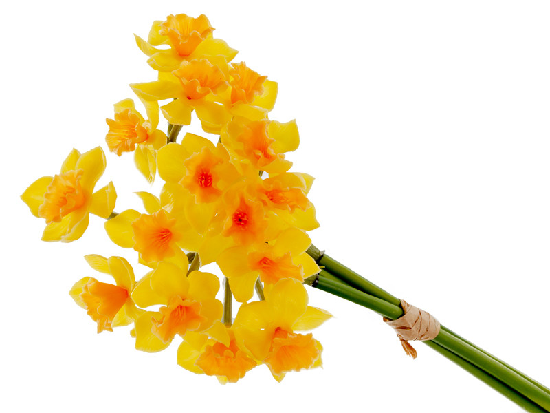 Букет нарцисів із 3 штук жовтий 50 см (силікон), фото 1