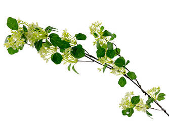 Гілка зелені 85 см (пластик)