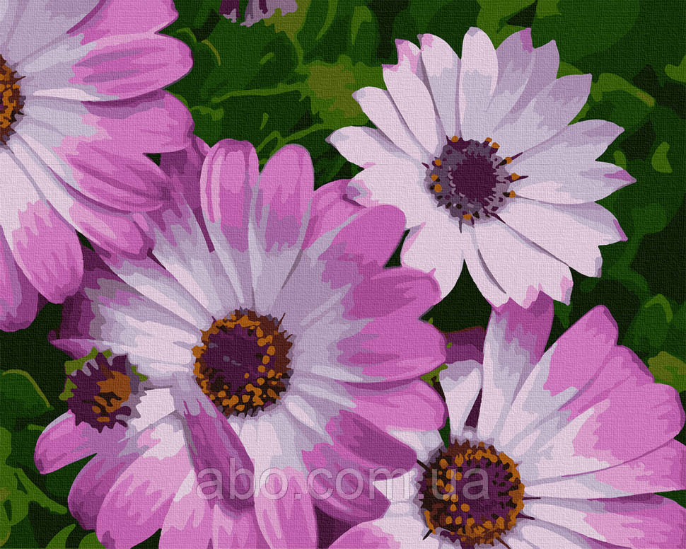 Картина за номерами. Art Craft "Африканські ромашки" 40 * 50 см 13113-AC