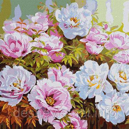 Картина за номерами "Розмаїття півоній" 50х50см KHO3193, фото 1