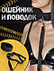 Фетиш и БДСМ наборы для секса 10 аксессуаров Купить набор БДСМ Госпожа садо мазо, Комплект для связывания XIS - фото 6 - id-p2268539693