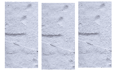 3D панель Колізей 1 Білий