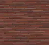 Клінкерна керамічна плитка для фасадів та інтер'єру Tibetan flame (LF11), фото 4