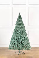 Ялинка лита "Буковельська"