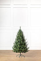 Ялинка лита "Віденська" Зелена 1,80м
