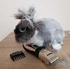 Машинка для стрижки котів та собак з насадками 3/6/9/12 мм. Purlov 24089, фото 7