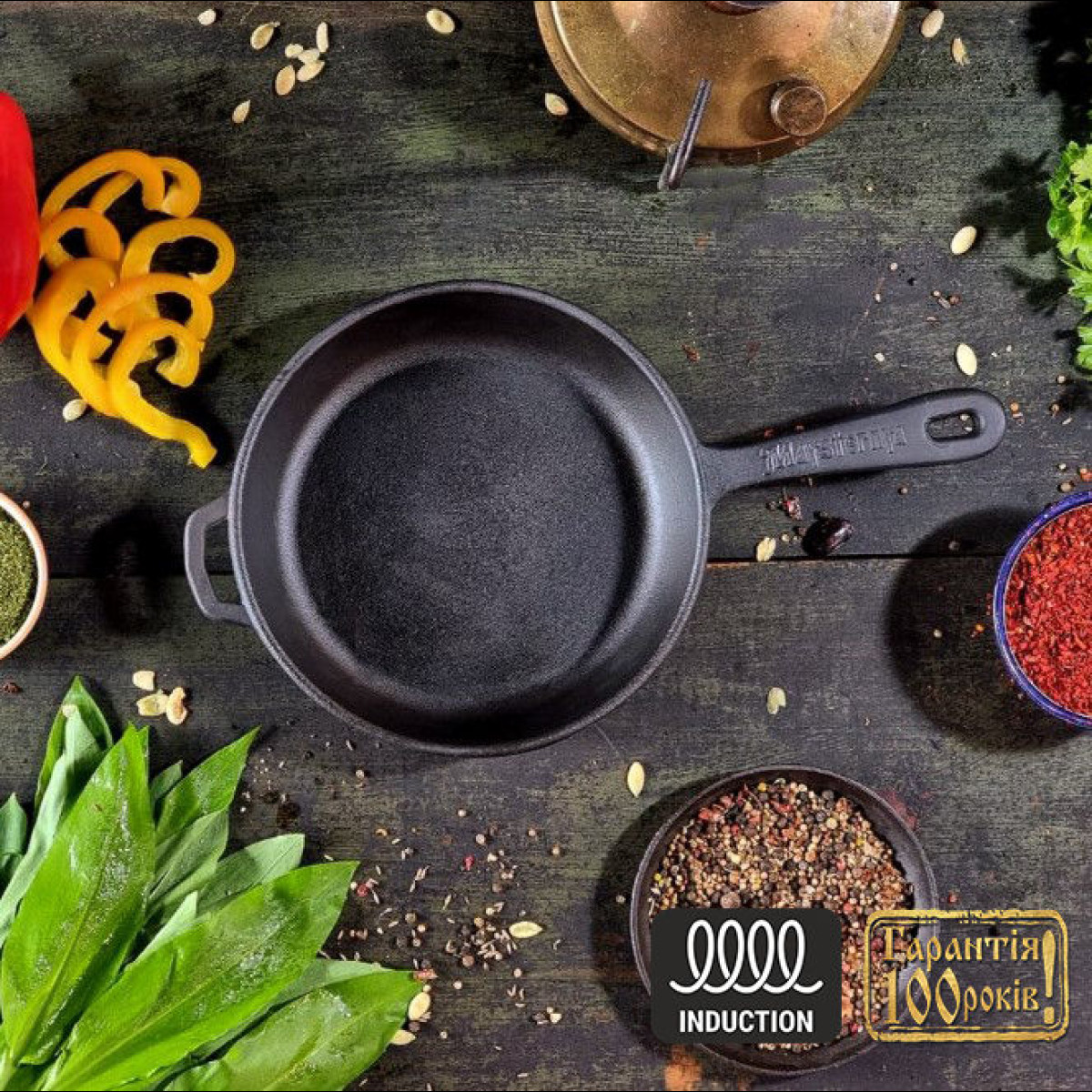 Сковорода чавунна Maysternya з чавунною ручкою 20 см Т2011