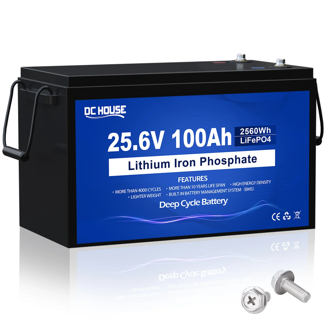 Акумулятор LiFePo4 DC HOUSE 24 V 100 A (25.6 V) 2560 Ah з BMS