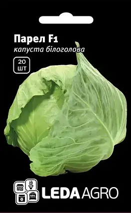 Насіння капусти Парел F1,20 насіння — рання (50 днів), білокочана LEDAAGRO, фото 1