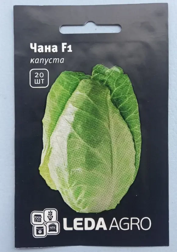 Насіння капусти Чана F1, 20 нас — гострокачанної, ранній гібрид, LEDAAGRO