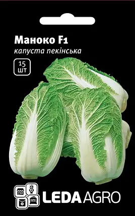 Насіння капусти Маноко F1, 15 насінин — рання (50 днів), пекінська LEDAAGRO, фото 1