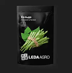 Насіння квасолі Хельда , 15 шт — рання (60 днів), спаржева Leda Agro
